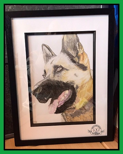 A bespoke portrait of your Cherished pet framed actual portrait size is A4, priced at £75.00  small overnight courier fee.    Bank transfer or Paypal accepted.   I am always open to ideas so don’t hesitate to contact me to discuss those.   nickspetportraits13@outlook.com